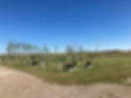 Lipton Memorial Gardens
