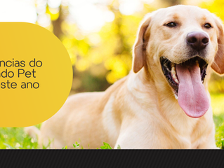 Tendências do Mercado Pet para este ano [parte 2]