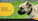 Repelente de insetos para cachorros?