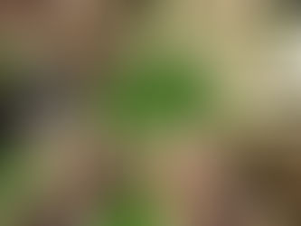 讀書會-新人38問