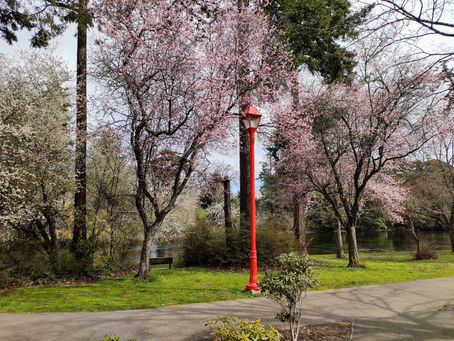 11:11 Waves Blog 13: TOP 3 of Q1