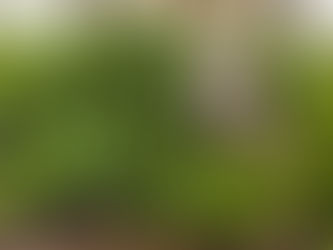 11:11 Waves Blog 29: Observing