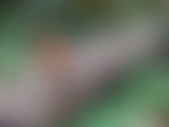 11:11 Waves Blog 37: Letting go