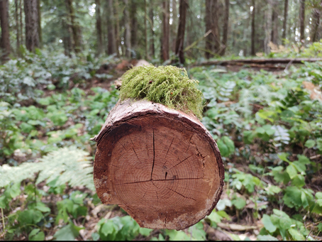 11:11 Waves Blog 24: Suffering