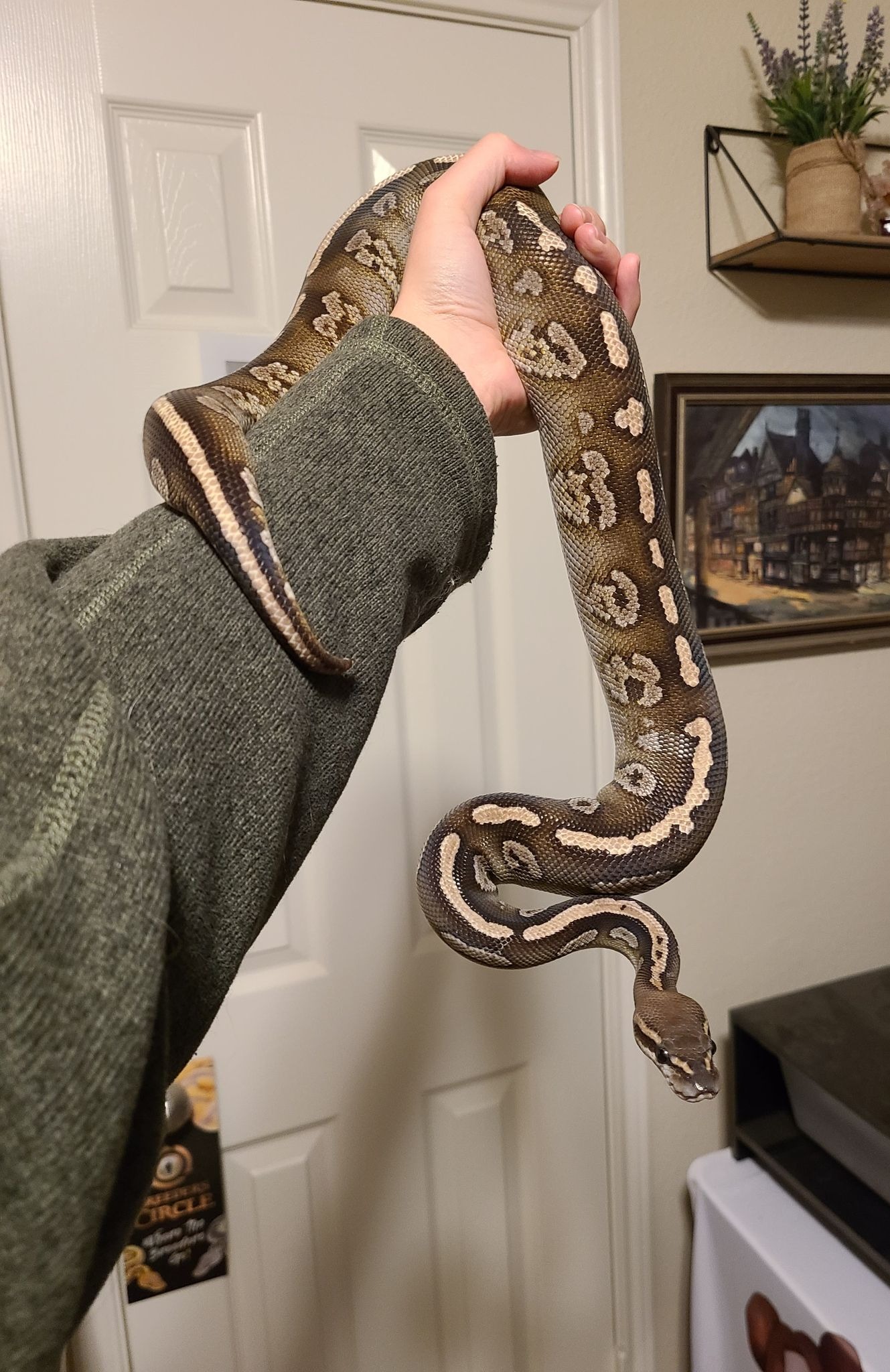 hammerspoon python hammerspoon python