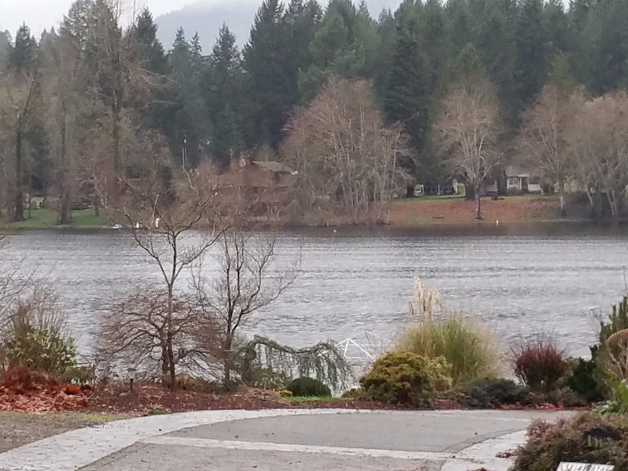 Lake View 2