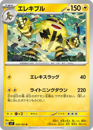 029/102 Electivire