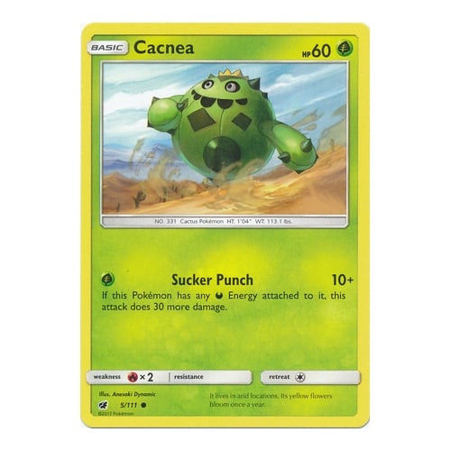 5/111 Cacnea