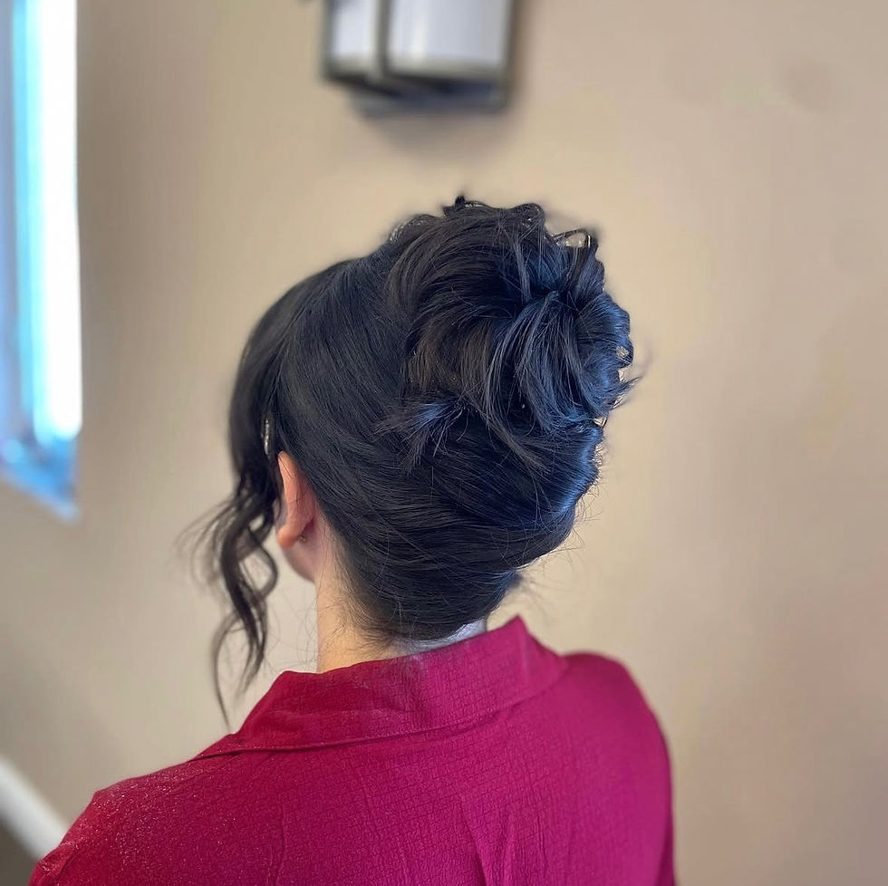 Alyse’s Updo