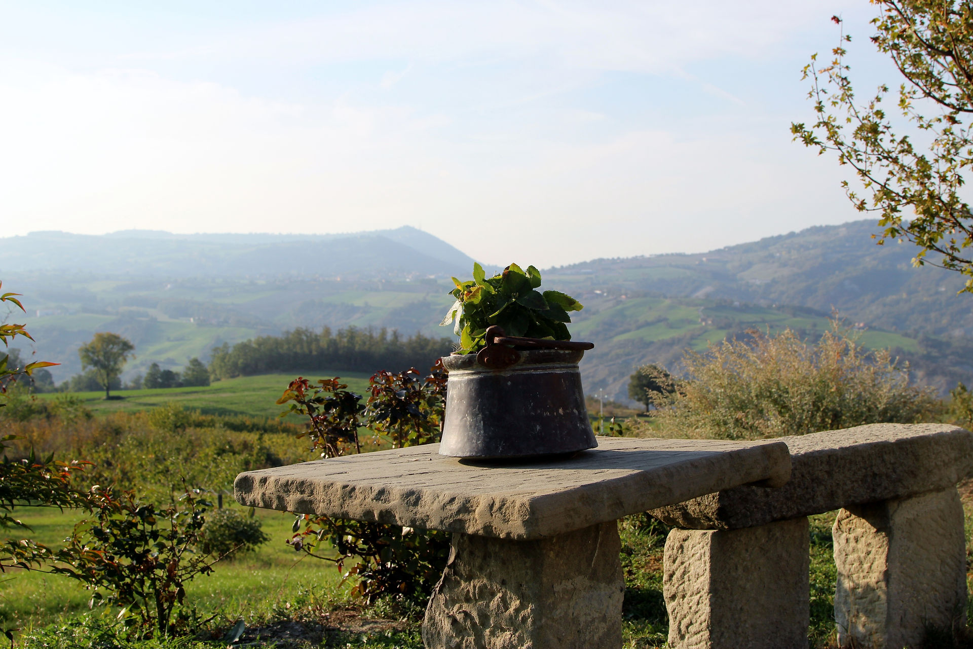 Great vistas