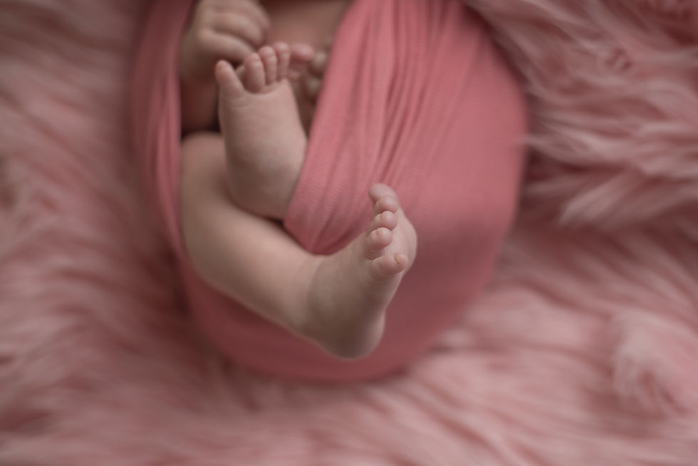 Berks County newborn Photographer