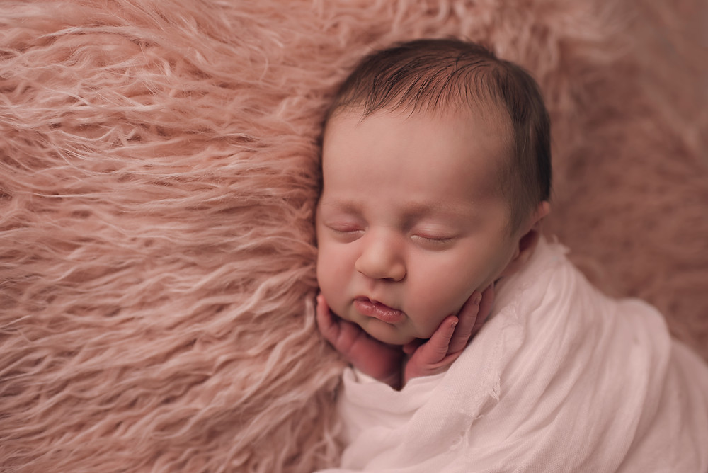 Berks County Newborn Photographer