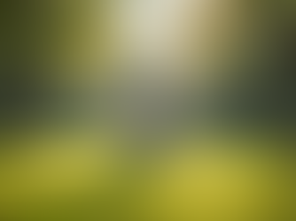 Starting Qigong: Qigong Tips for Beginners