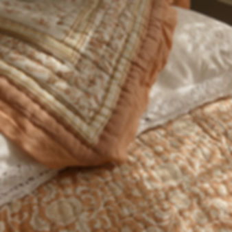 Suzani Beetles Hand made quilt throw