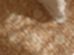 Thumbnail: Suzani Beetles Hand made quilt throw