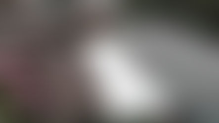 Brocklehurst Warehouse Extension