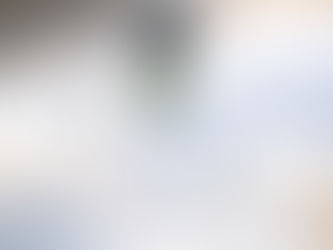 Die Welt der ätherischen Öle – Düfte, die berühren