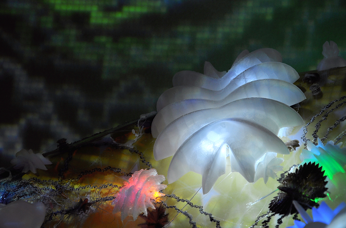 barnacles2.png