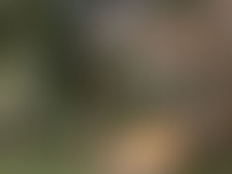 Seelsorge: Was verletzt dich?