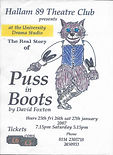 Puss in Boots Poster.jpeg