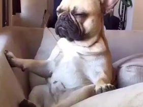 A bit about the meditation group