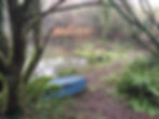 Spring is in the air here at Treargel. The daffodils are in abundance and the primroses are starting to appear.