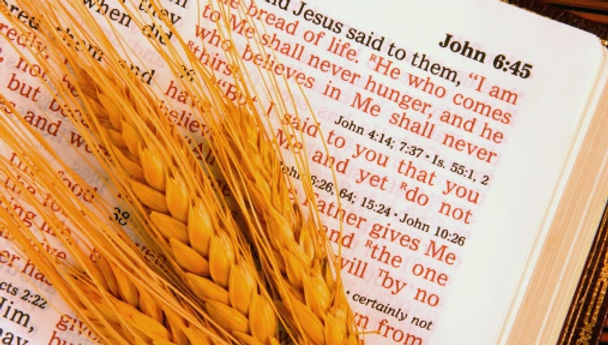 Holy Bible and Wheat John 6.45.jpg