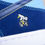 Miniatura: Nike SB Dunk Low The Predatory Bird