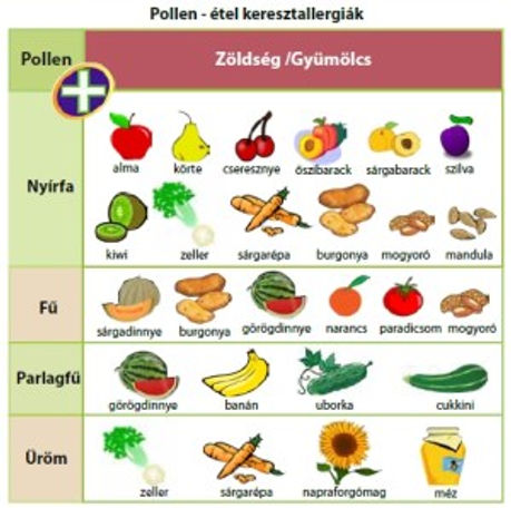 keresztallergia
