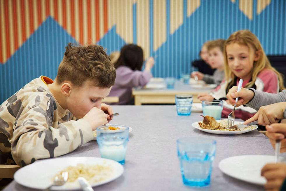 A mentes közétkeztetés alapjog - egy ideális világban