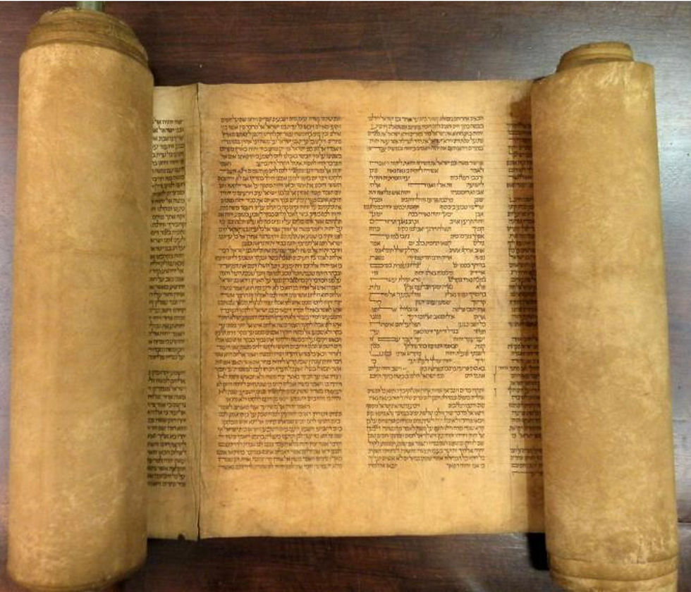 University of Bologna Torah Scroll