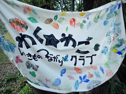 LINE_ALBUM_セミ観察会_230806_8_edited