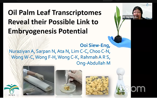 Ooi Siew-Eng.png
