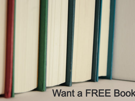 FREE BOOK! Sign up to be the first to read INTRODUCING CHARMING HOLLY CHRYSTAL