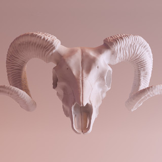 Bone Profile