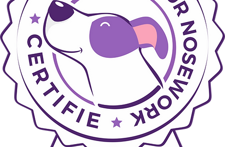 Certificationogo 2 ( transparant)_edited