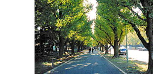 秋元紙業