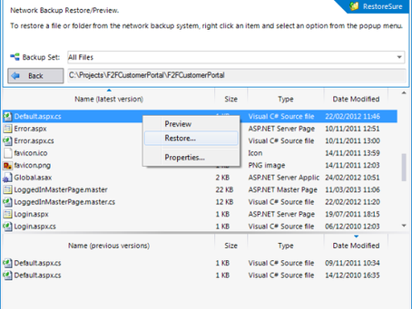 Flux2Fusion RestoreSure Crack   With License Key For Windows 2022 [New]