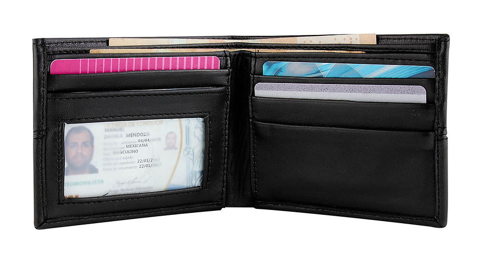 Miniatura: W 650 - CARTERA IMERETI