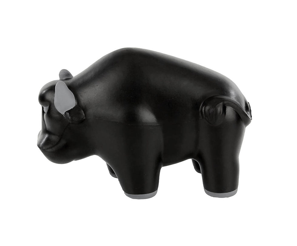 Miniatura: SOC 213 - ANTI STRESS BULLY