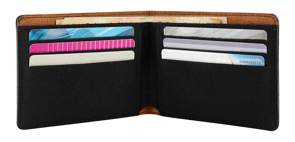 Miniatura: W 750 - CARTERA NANSA