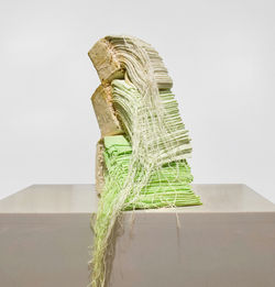 Symbiosis - Zixiang Zhang