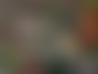 A vibrant abstract artwork with waste materials and tangled threads in green, red, and yellow tones, creating a textured, colorful tapestry. With the words 'Creative Voices From Waste to Wonder: Francesca Busca's Eco-Activist Vision