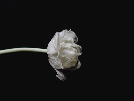 La torture blanche