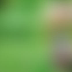 Dia do Agricultor: Sustentabilidade e Inovação no Campo