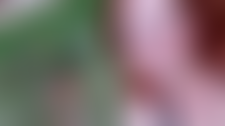 Um swinger religioso...