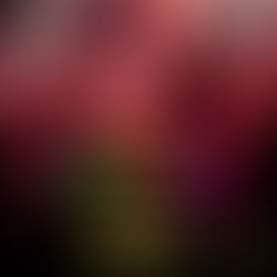 Tardezinha Nudista • Baguncinha • Sábado, 25 de Abril