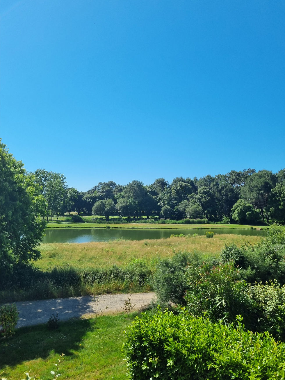 Vue Lac - Océan, Golf & Vue lac • Appartement à louer Port Bourgenay