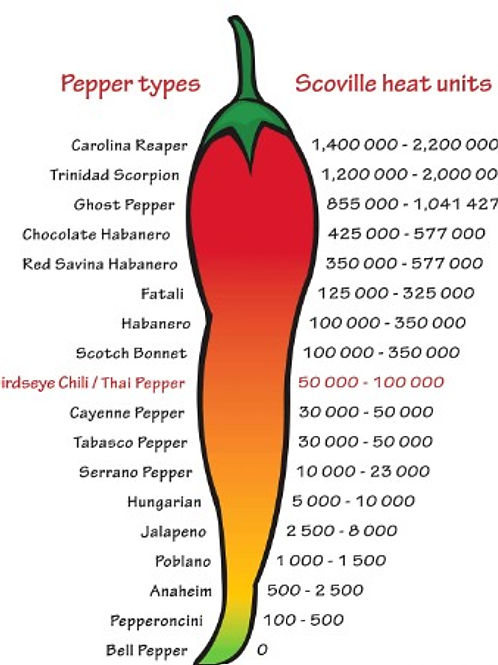 Chilli Powder | To9 Herb & Spice