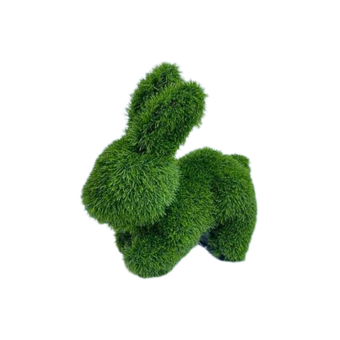 Lapin pelouse